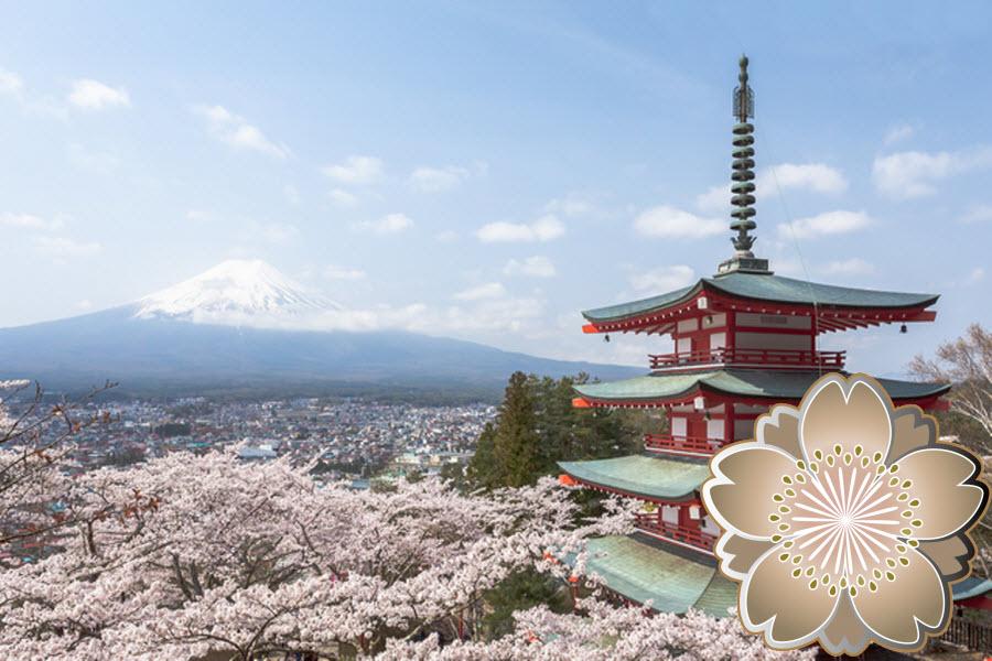 【伊豆春之頌】百選賞櫻.新倉山淺間公園.伊豆箱根鎌倉.東京櫻之旅5日