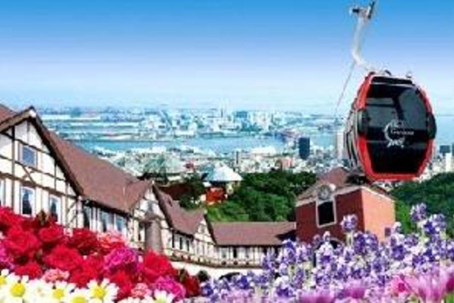 ★愛戀關西★夏の戀人~紫色香氣‧薰衣草花季~浪漫鐵道+空中纜車 和牛.螃蟹.歐風香頌.MIHO桃花源(宇治)5日