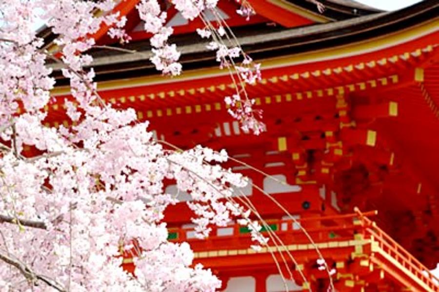 《超值春櫻繽紛》幸福關西●浪漫花舞~京阪神春の物語‧環球影城夢5日