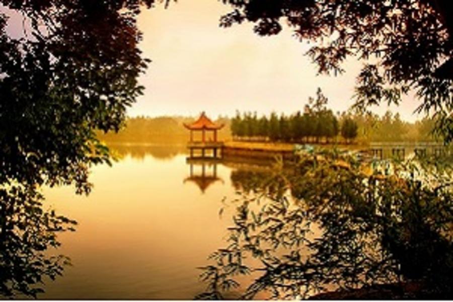 新江西~廬山西海.景德鎮.婺源.宜春8天(無購物+無自費)