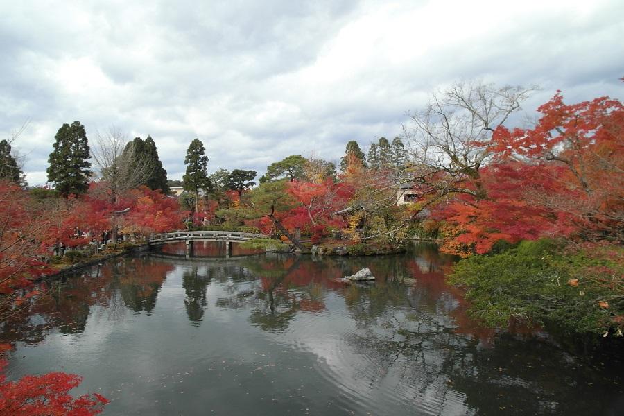 【楓紅不讓】大阪姬路城天橋立伊根灣美山合掌屋嵐山京都5日