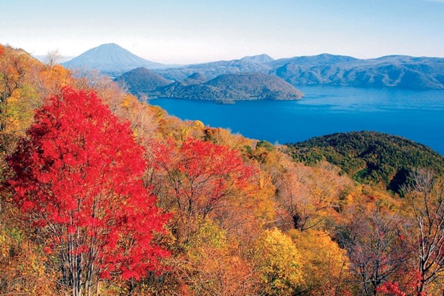 北海道楓動嫵媚~百選名山黑岳纜車.豐平峽邂逅紅葉.旭山動物園.浪漫小樽.三大鮮蟹.美食名湯五天