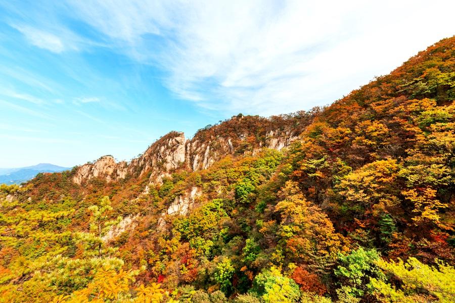 【升等明洞飯店】楓銀雪嶽~鐵道自行車、南怡島、聖托里尼咖啡、汗蒸幕5日