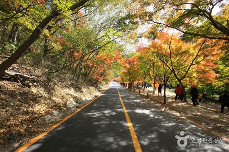 『賞楓』秋賞韓國(全程無自理餐+珍珠海鮮寶盒)~內藏山、小希臘村、咖啡文化體驗館DIY、全州韓屋村+穿韓服逛韓屋、愛寶樂園、德壽宮、亂打秀5日-CI