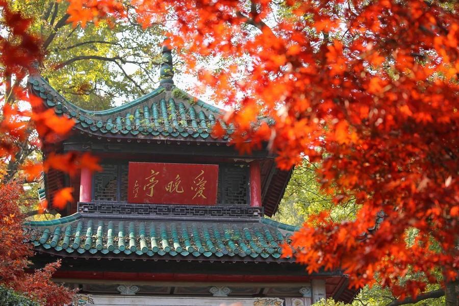 張家界鳳凰古城、玻璃橋、狐仙秀下午茶8日(升金茂梅溪湖、皇冠假日酒店)