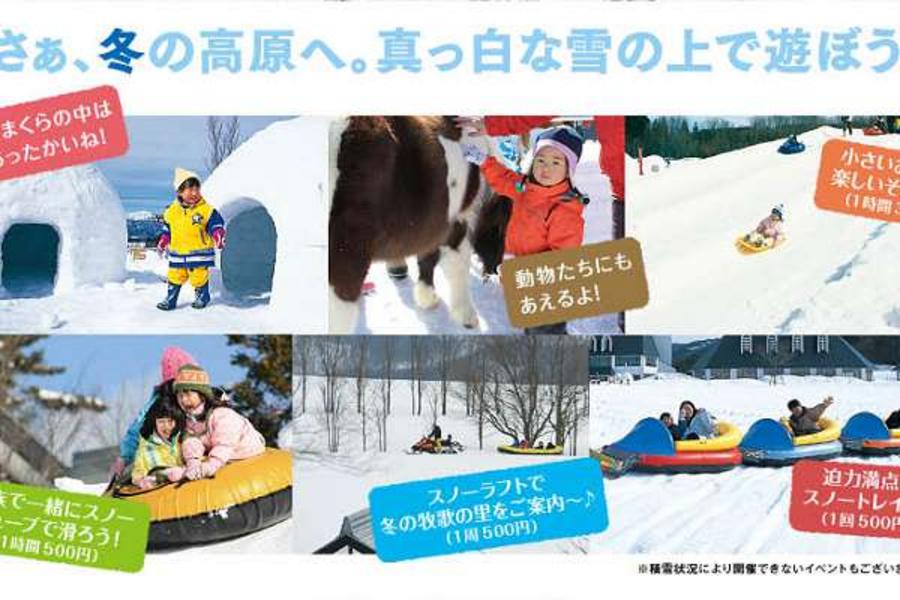 雪遊名古屋、仙境月兔、合掌村溫泉、江戶街道5日
