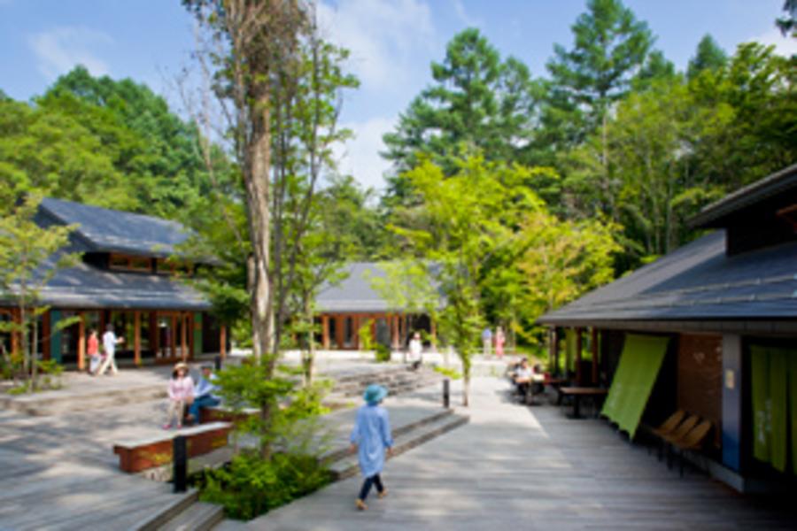樂齡輕井澤★川越小江戶.晴空塔展望台.橫濱遊船.東京5日