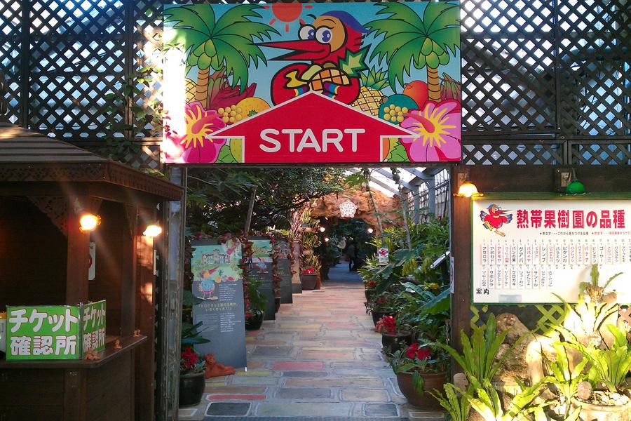 【寒假沖繩免小費.升等A海飯店】永旺夢樂城、GALA海鹽館、琉球風體驗王國村、暢遊水族館 超值四日 ( 華航 早去晚回 )