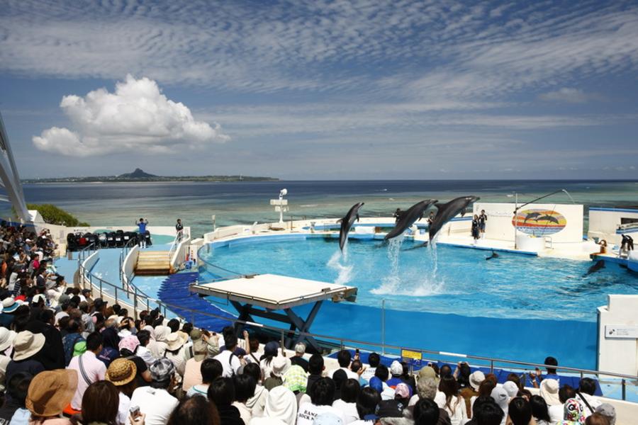 春節喜年來~★歡喜遊琉球★ 沖繩珍湛超質渡假趣五日遊