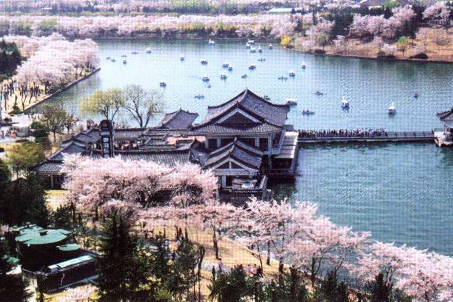 【第2人省2000元】春魅釜慶~梵魚寺.空中纜車.柿子酒香.彩繪村.薰香花園五日【大韓】