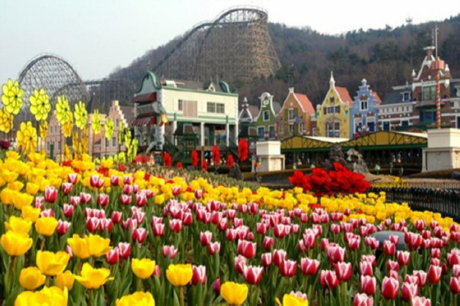 【早去晚回不上攝影】韓光乍現~南怡島、愛寶、景福宮、汗蒸幕、N塔5日