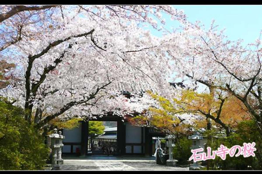 春絢名園★百選星光櫻‧京嵐醍醐‧合掌村樂購6日