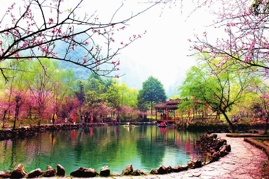 張家界、玻璃橋、酉陽桃花源、煙雨張家界秀七日(禾田居酒店2晚、下午茶)