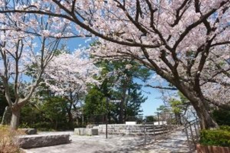 花現嘻遊趣》春櫻鐵道★湯布院之森‧櫻花庭園‧古街名城溫泉5日