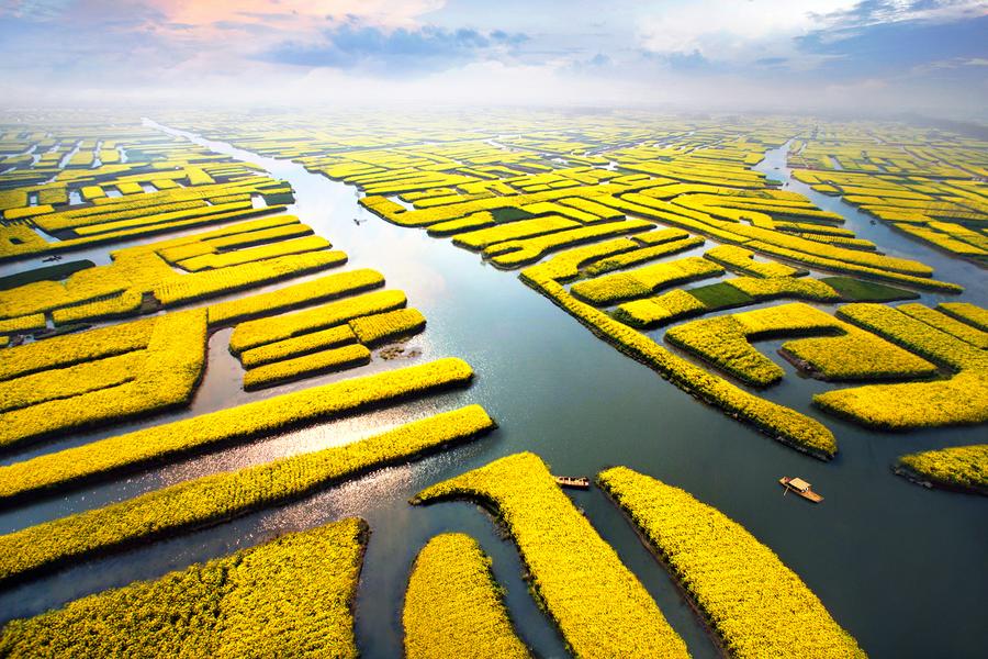 【花現.嘻遊趣】江蘇花海~興化垛田油菜花五日 【早去晚回.五星酒店.個人導覽耳機】