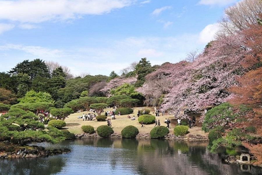 ★花東京星光★迪士尼360度水晶宮箱根鐵道蘆之湖遊船新宿御苑溫泉5日