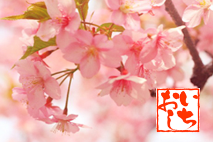 《春櫻緋舞♥粉櫻之戀》幸福關西‧古都漫步~京阪神輕旅行5日