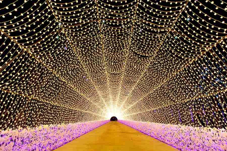 酷韓雙樂園~樂天世界+樂天塔、愛寶樂園、3D美術館+VR、塗鴉秀5日