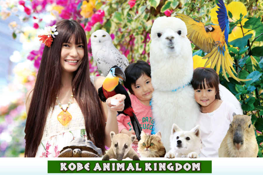 親子寶貝●最HIGH夏季★大阪環球.海遊館.可愛動物王國~繽紛三大樂園‧神戶浪漫之旅5日