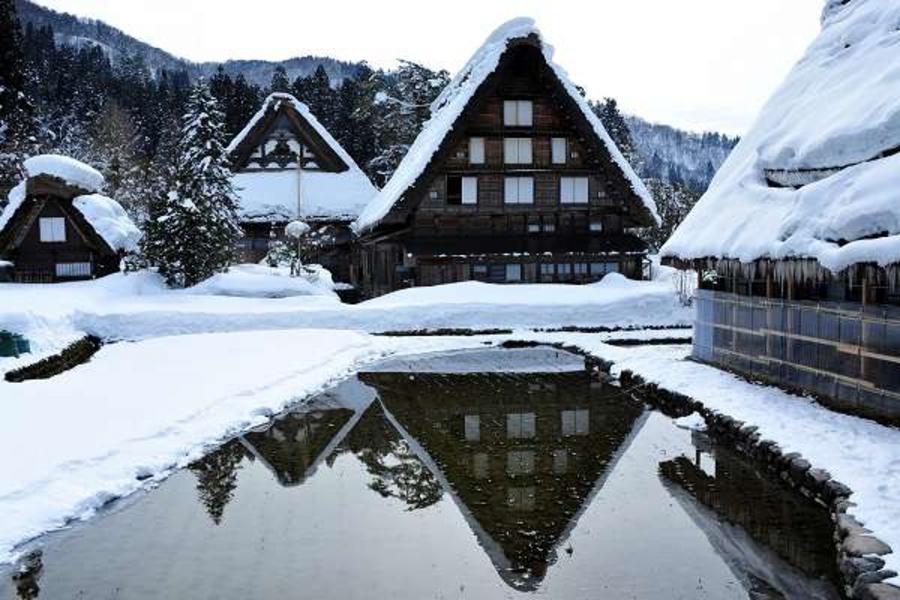 富山牧場、名古屋樂購、合掌村奇景、彥根城名園5日