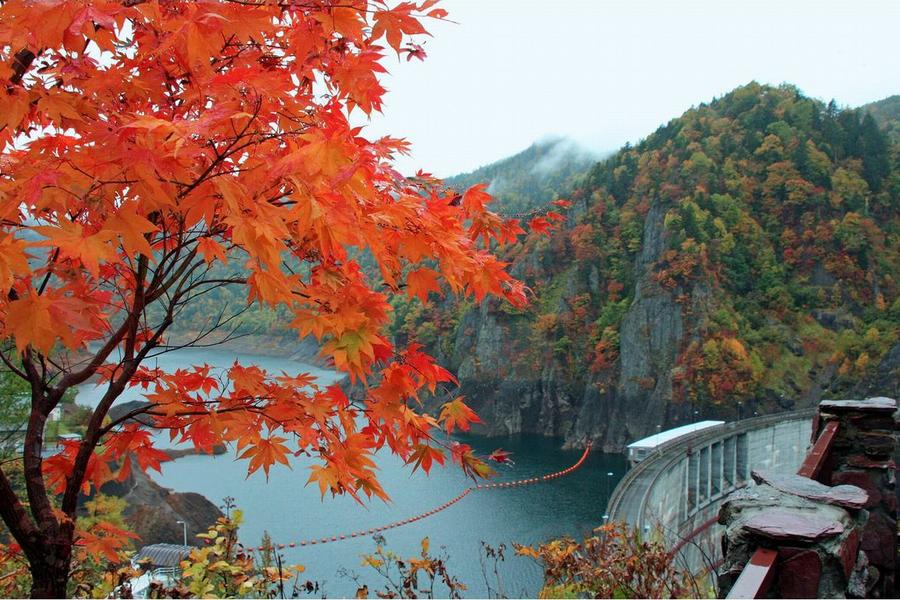 北海道賞楓景~知床秘境秋季巡禮 黑岳纜車.阿寒湖遊船. 豐平峽谷.浪漫小樽六日遊