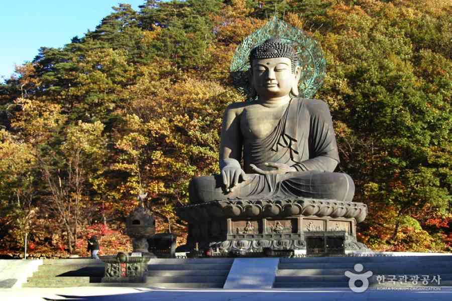 楓賞雪嶽~雪嶽山、南怡島、泰迪熊、N首爾塔、孔陵一隻雞、八色烤肉5日