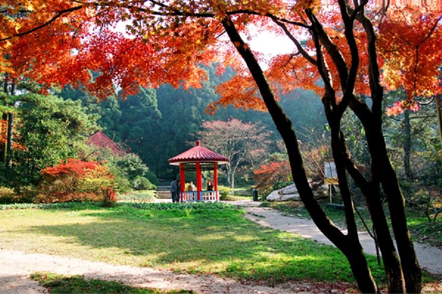 江西新老廬山、道教三清山、婺源、篁嶺、景德鎮8日 【高餐標、三排椅】