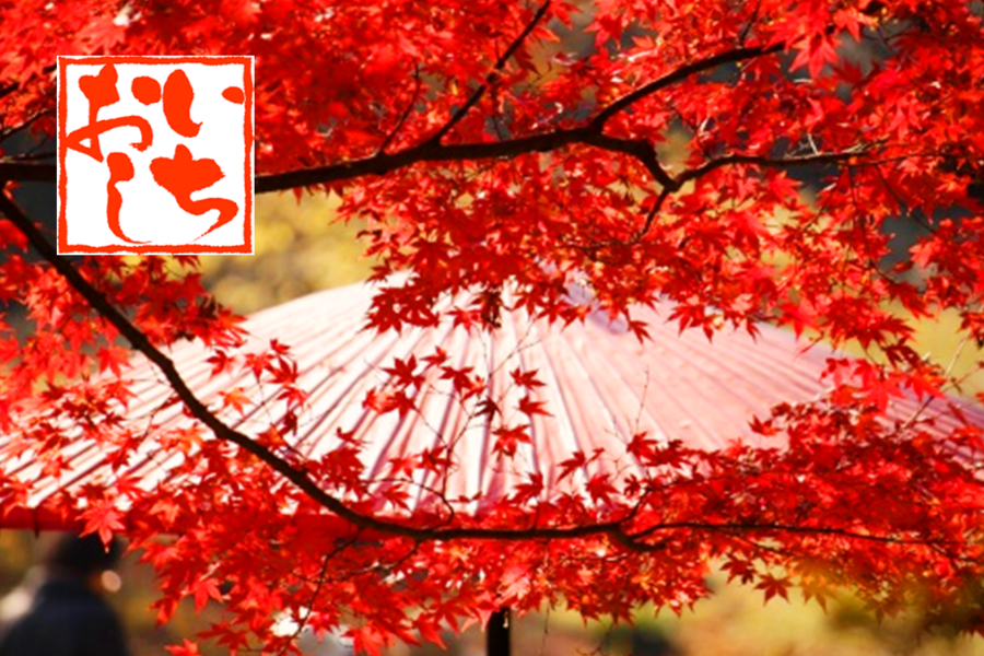 《2016賞楓限量特惠團》*紅葉詩翩*京阪神輕旅行5日
