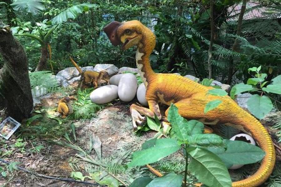 【琉球奇遇侏儸紀】恐龍主題森林公園、海博館、古宇利大橋、永旺夢樂城5日
