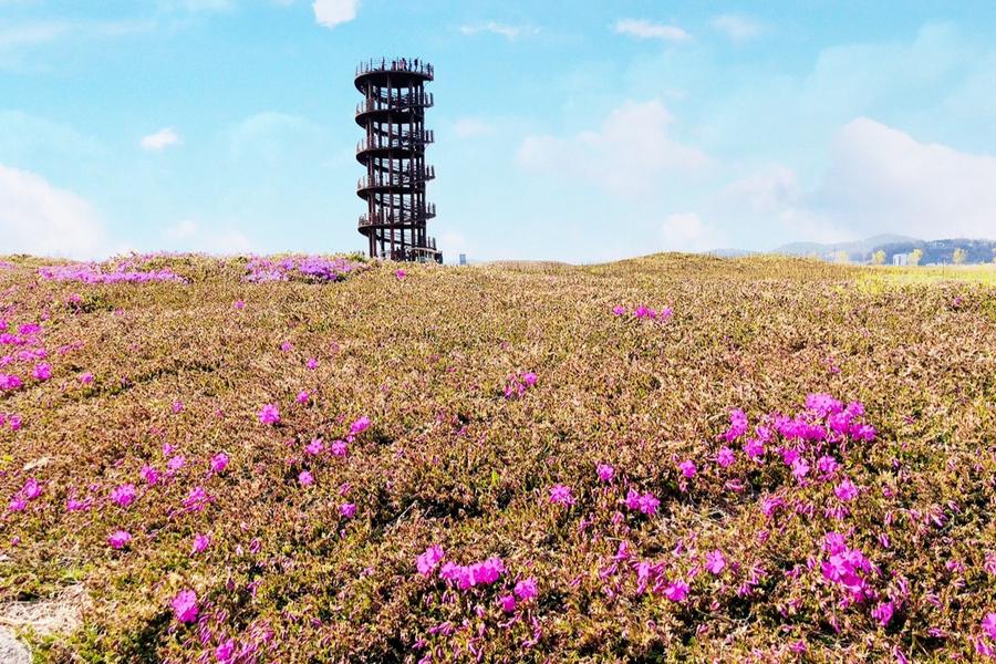 超值韓國~晨靜樹木園.聖托里尼.螺旋瞭望台.天空步道.愛寶4日(早晚)