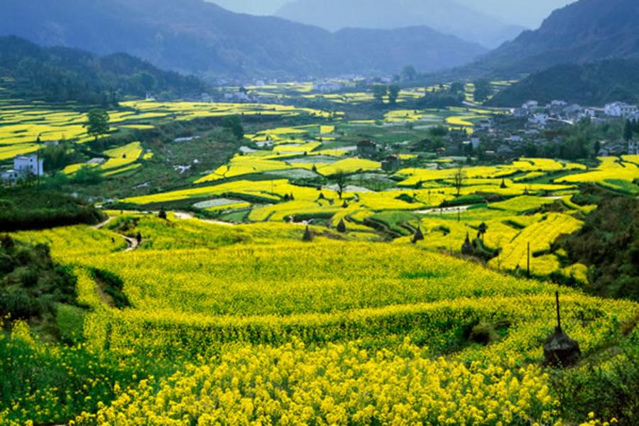 【婺裡看花】滕王閣、婺源、三清山、景德鎮8日