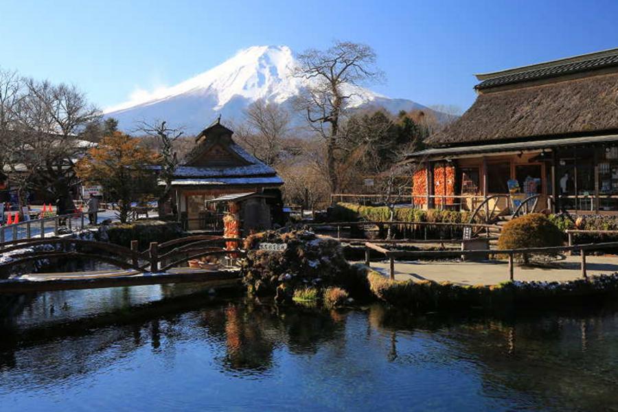★大關東風情★輕井澤伊豆.箱根鎌倉.東京靜岡6日
