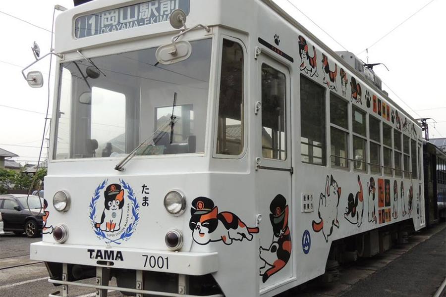 四國岡山★小玉貓電車‧道後本館‧溫泉湯宿5日