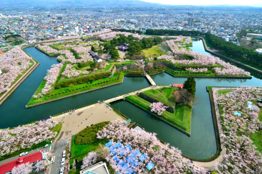 北海道輕鬆遊*函館星空五稜郭花季*童話小樽札幌粉櫻5日(函館、千歲)