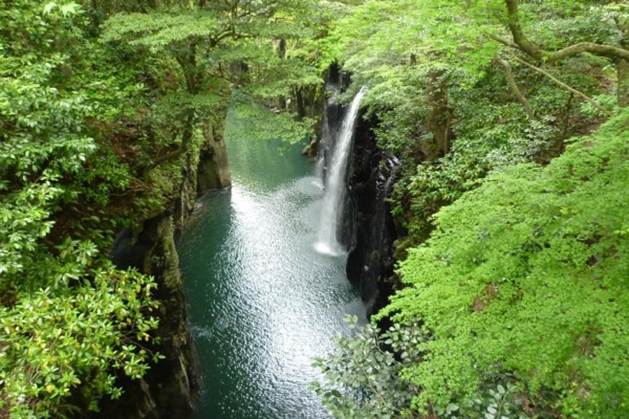 【日南陽光南九州】高千穗峽、莫埃人像、飫肥城散策、磯庭園、指宿砂浴6日