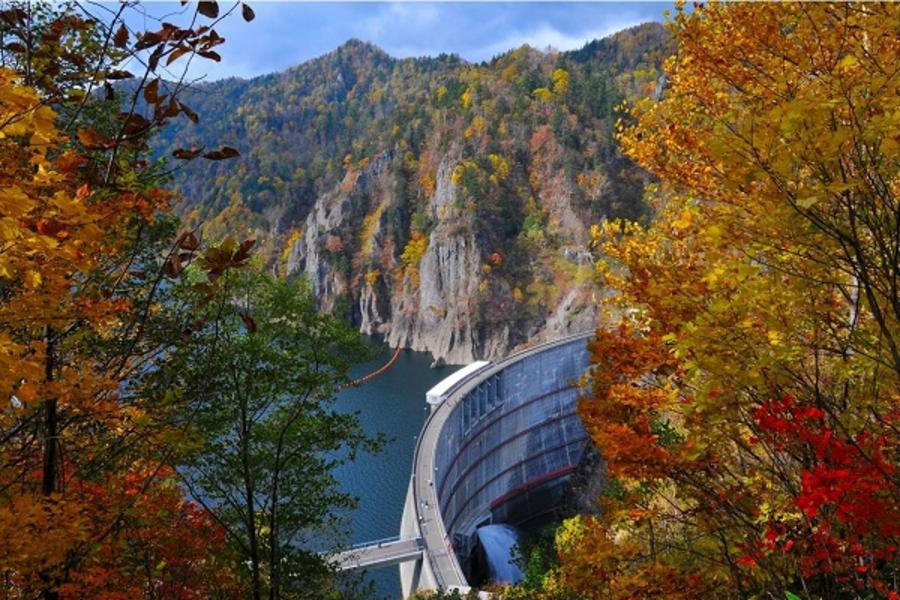 紅葉知秋の北海道~百選名山黑岳纜車.豐平峽邂逅紅葉.定山溪溫泉楓葉情.尼克斯海洋公園.浪漫小樽5日