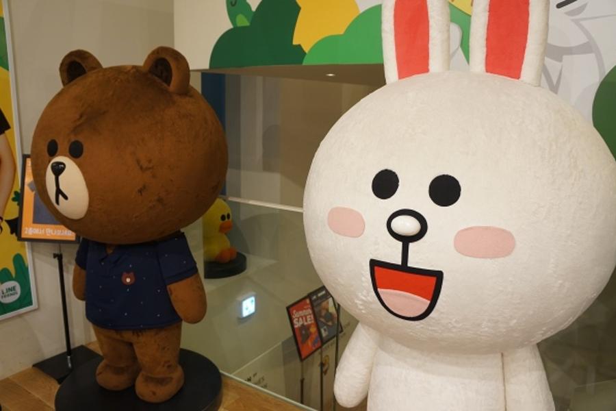 【不走人蔘保肝攝影】夏漾韓國~樂天+水族館、冰雪樂園、採果、廚師秀5日
