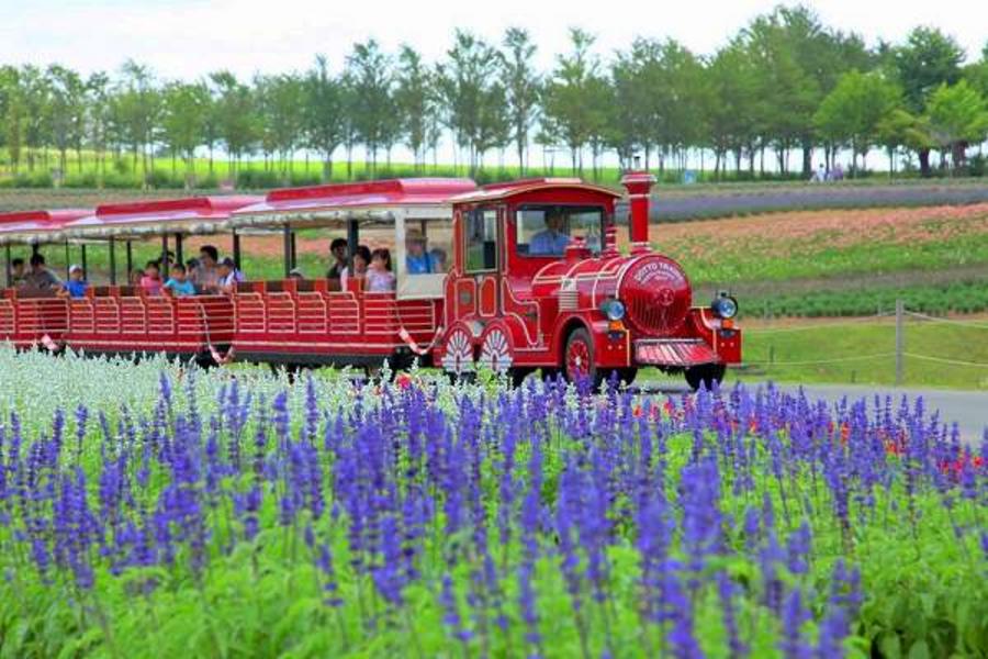 【童樂趣早鳥省2千】小松花田牧場、立山上高地、兼六園古街、合掌村工藝6