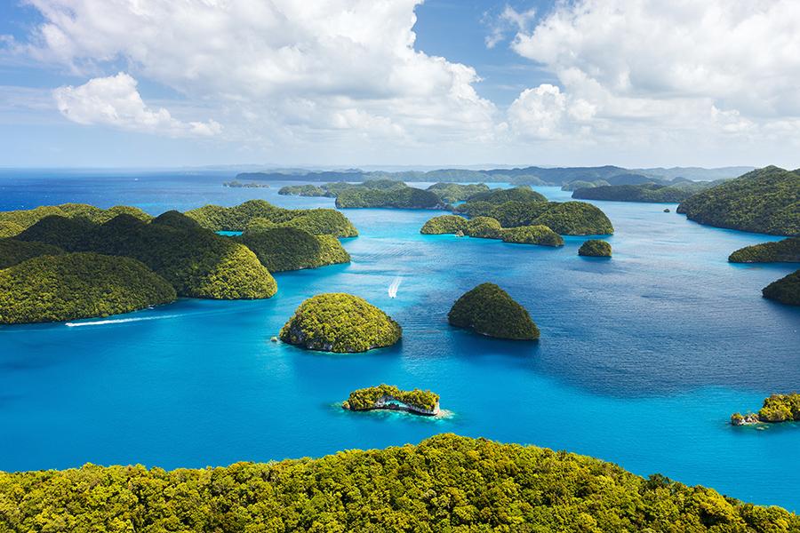 帛琉精選二次出海、大斷層、海豚灣、海洋獨木舟4日-帛琉飯店PALAU