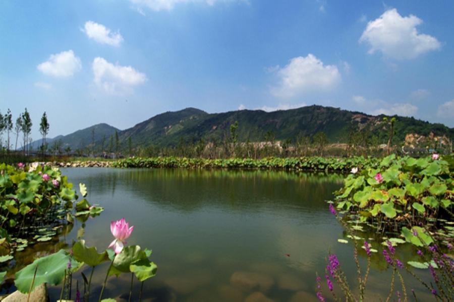 【華信假期】無錫惠山古鎮、蘇州藕園手搖船、上海新天地風情四日