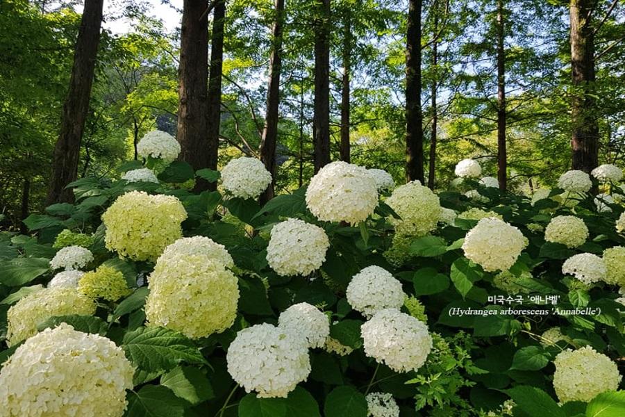 【迷你團】五星飯店、超萌草泥馬樂園、變裝遊古宮、平康樹木園、美食5日