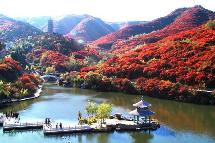 ã€Œå±±æ±æ¿Ÿå—ç´…è‘‰è°·ã€çš„åœ–ç‰‡æœå°‹çµæžœ