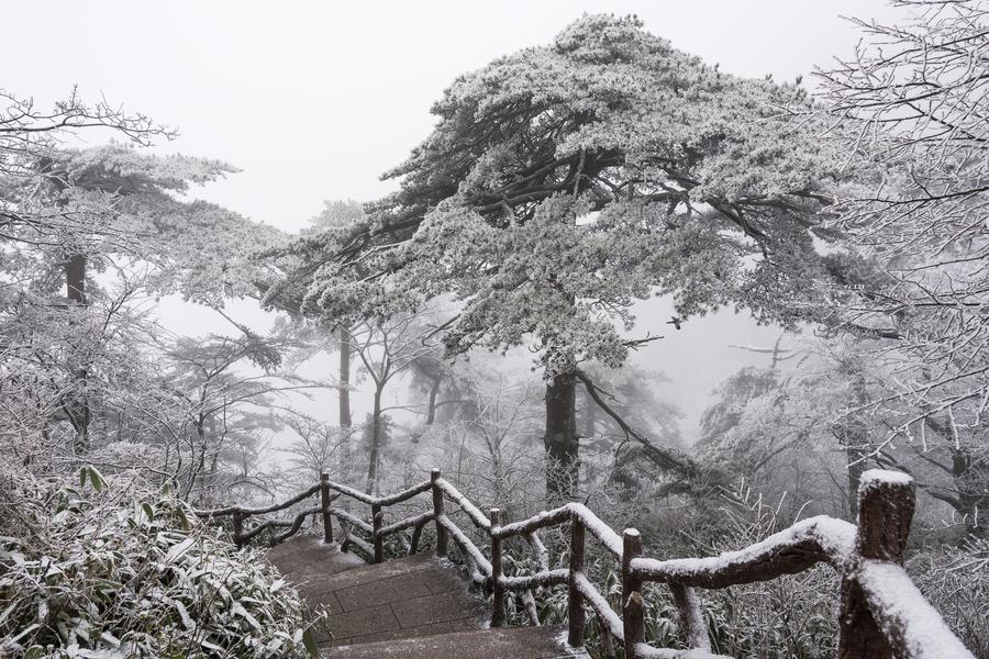 冬戀黃山來看雪、走訪宏村四日 【無購物.山上乙晚】