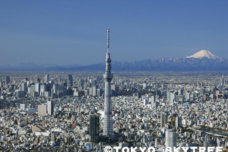 東靜晴空.賀新年★登上晴空塔.日本平纜車.橫濱箱根鎌倉.東京靜岡5日