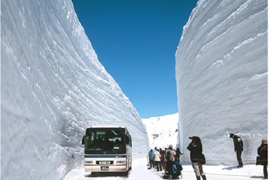 ★春魅雪壁★立山連峰紫藤花季森林上高地合掌村美食三町輕井澤溫泉5日