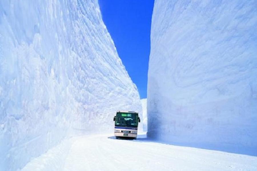 ★春趣立山★雪之谷芝櫻季祕境上高地童話合掌村輕井澤喝咖啡溫泉5日
