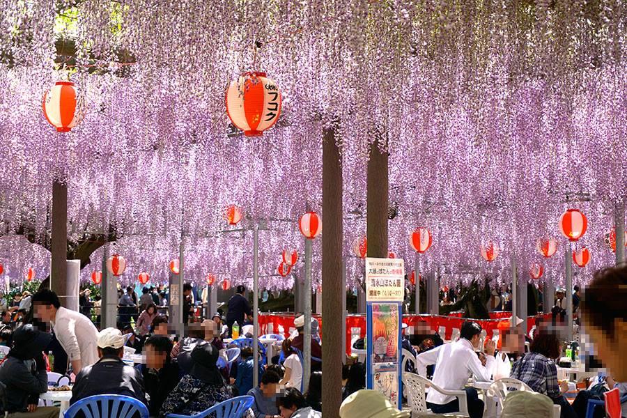 ★九州花樂園★唐津城.山田日吉神社.蝴蝶夫人故居.柳川吟唱6日