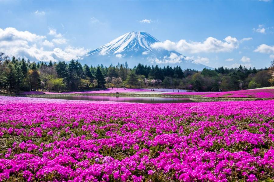 ★立山春景★雪之谷芝櫻季祕境上高地童話合掌村輕井澤喝咖啡溫泉5日