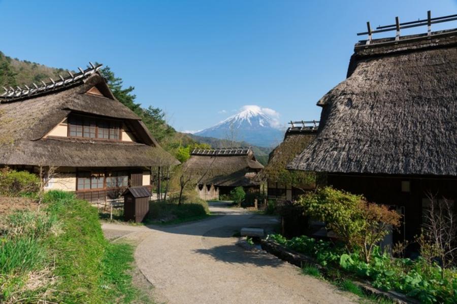 ★幸福小江戶★白鳥船西湖合掌造輕井澤咖啡白糸瀑布萌木之村溫泉五日