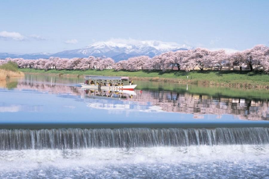 ★仙台春姿色★新幹線白石川堤櫻嚴美溪角館小京都松島遊船飛天糰子溫泉5日